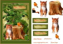 Woodland cat Birthday