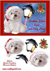 Merry Christmas from your furry friend
