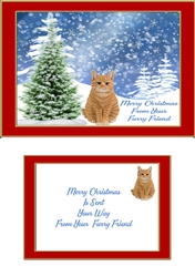 christmas cats