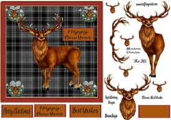 Stag New Year