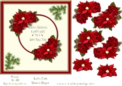 Poinsettia vintage 2