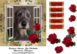 Irish Wolfhound 7x7 aprox