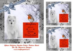 Christmas Robin and white wolf