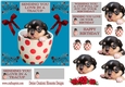 Love in a teacup dog design