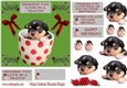 Love in a teacup dog design 2