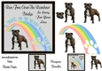 Sympathy dog Staffordshire Bull