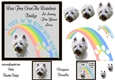 Sympathy dog westie