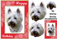 Happy Birthday dog