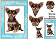 Happy Birthday dog Chihuahua