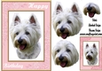 Happy Birthday dog westie