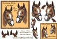 Horse birthday1