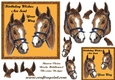 Horse birthday 5