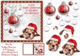 Dog Groomer Christmas Design 6