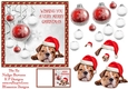 pet Christmas Design 6