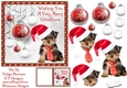 Pet Christmas yorkie