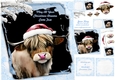 Christmas highland cow kit