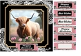 Highland cow birthday