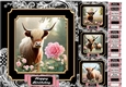 Highland cow birthday