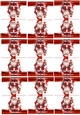 9 Santa tags