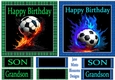 Football fan 2