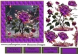 A beautiful rose design 3