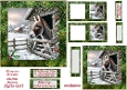 Donkey Christmas1