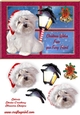 Merry Christmas from your furry friend