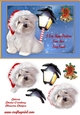 Merry Christmas from your furry friend