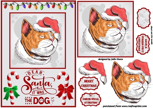 Santa it was the dog