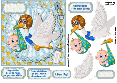 A Baby Boy Delivery