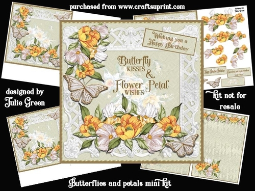 Butterflies and petals mini kit