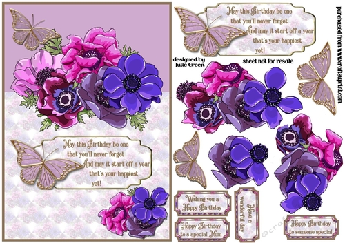 Colorful anemonies A5
