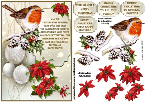 A traditional Christmas Robin A5