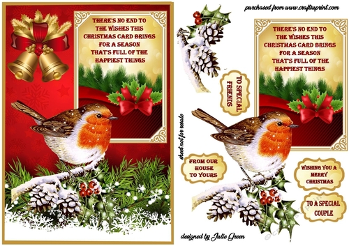Robin sends Christmas wishes A5