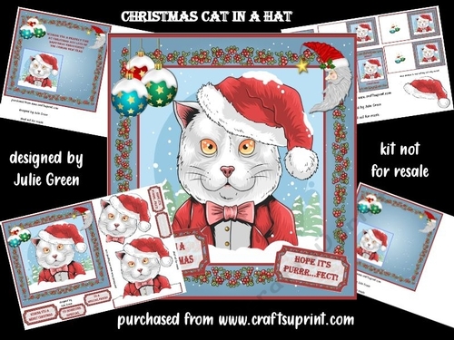 Christmas cat in a hat