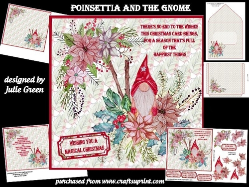 Poinsettia and the Gnome