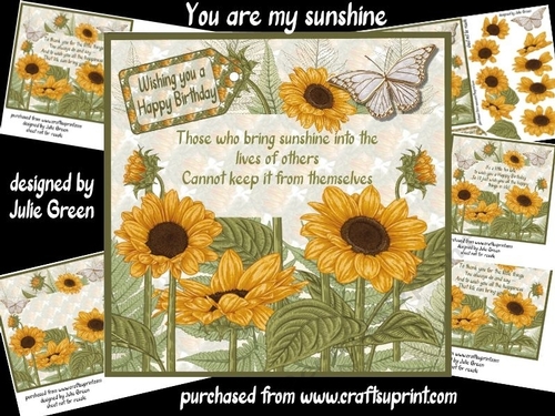 you are my sunshine