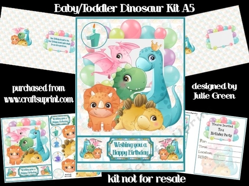 Baby Toddler Dinosaur Kit A5