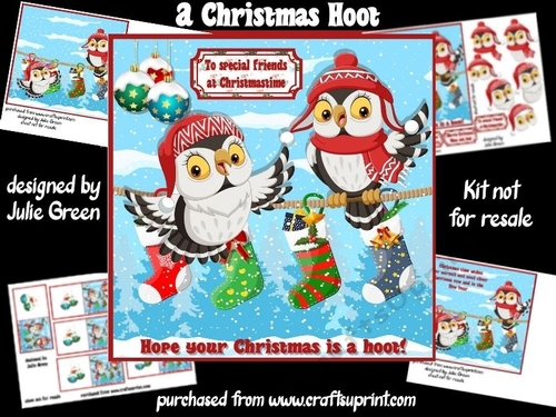 A Christmas Hoot