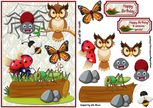 Bugs birds and butterflies