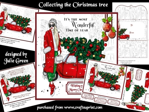 Collecting the Christmas tree