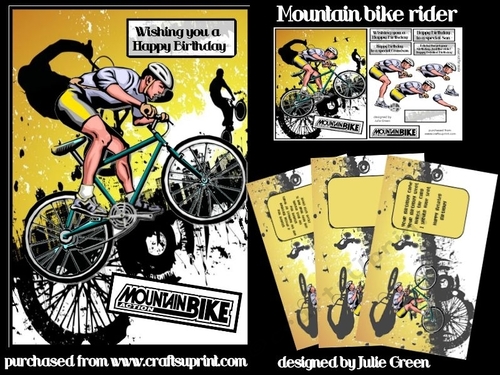 Mountain bike rider A5