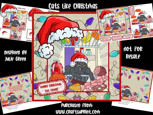 Cats love Christmas