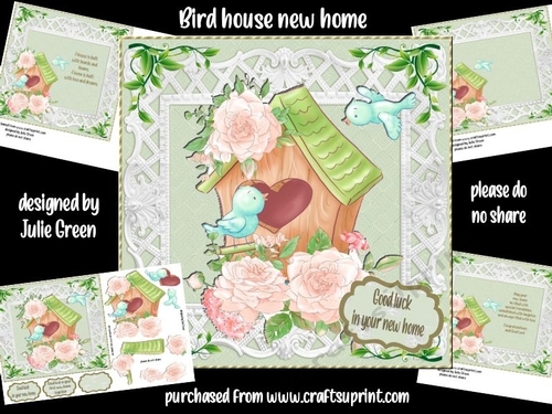 Bird house new home