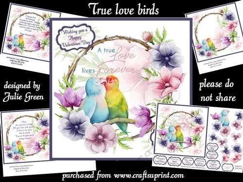 True love birds