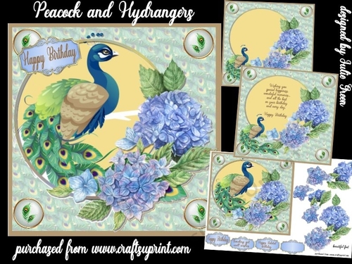 Peacock and Hydrangers