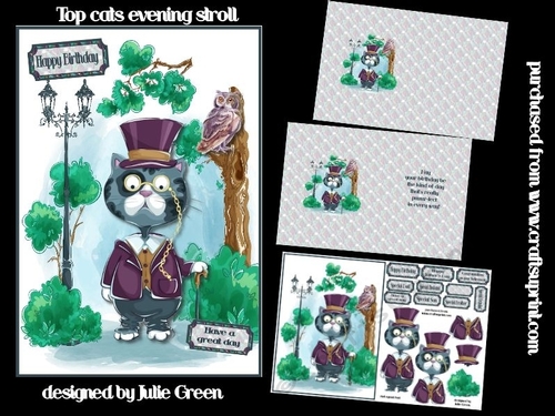 Top cats evening stroll A5