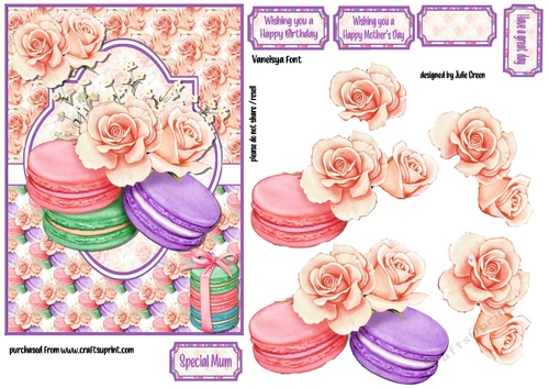 Macaroons and roses 5x7