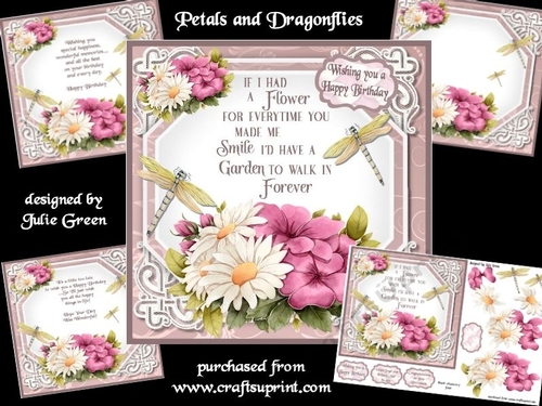 Petals and Dragonflies 7x7