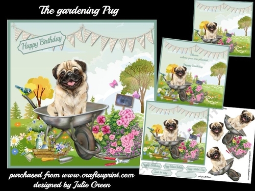 The gardening Pug